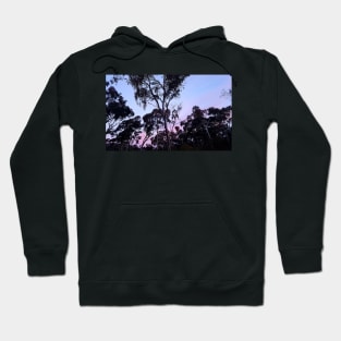 Eucalypts at Dusk, Stawell, June 20, 2017 Hoodie